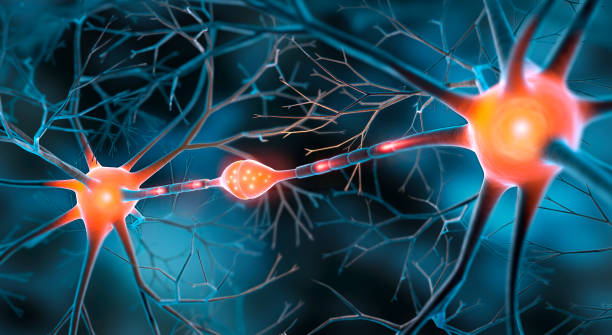 NeurologyBG