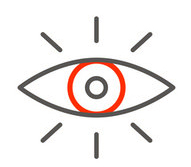 Vision Icon